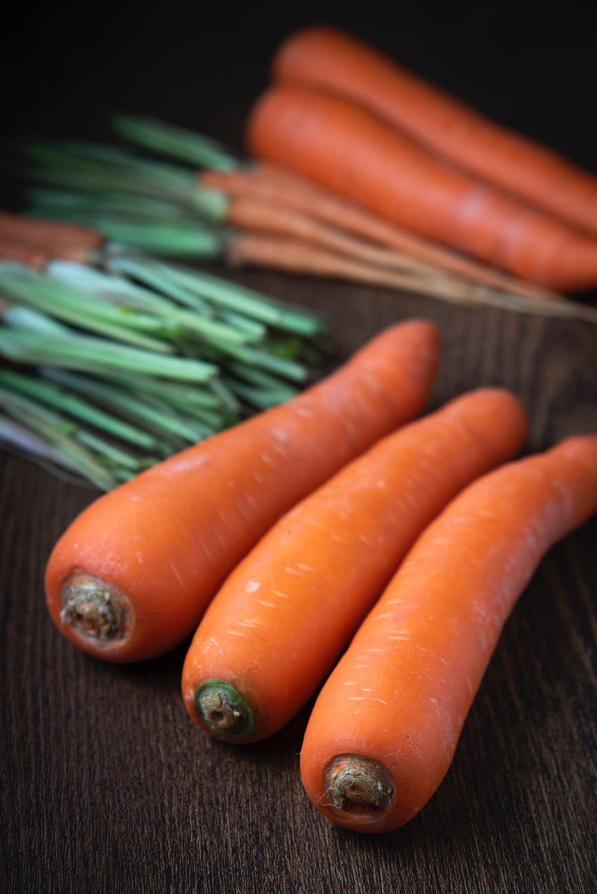 Découvrez la carotte, comment l'entretenir et la cultiver