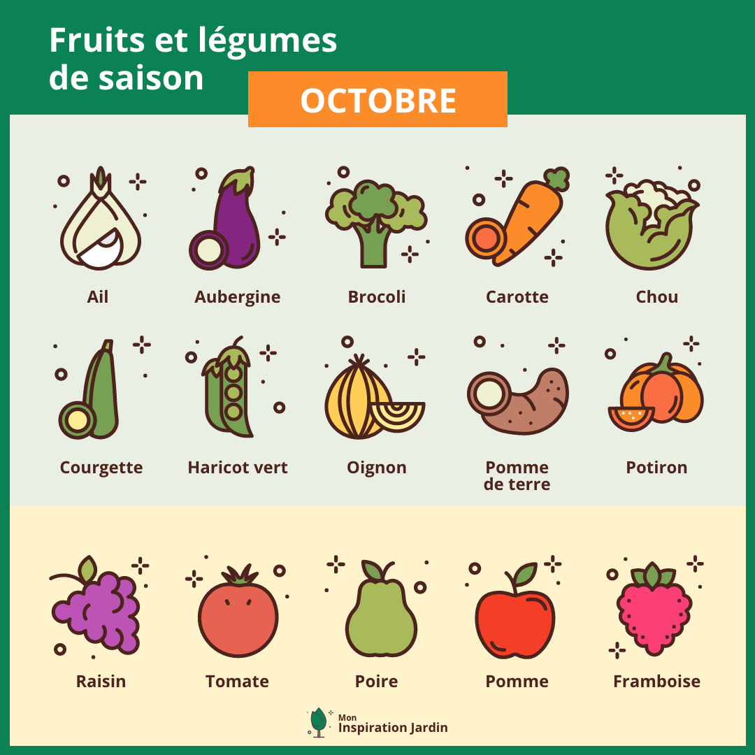 Fruits et légumes du jardin en Octobres