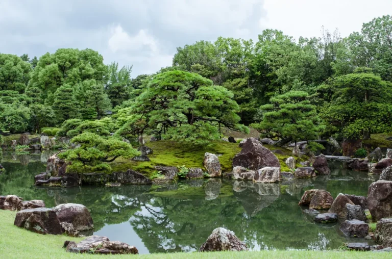 jardin japonais et zen